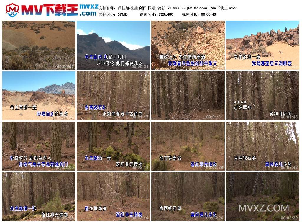 乔佳旭-先生的酒_国语_流行_YE300055